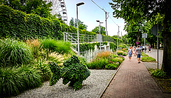 Park linearny w Giżycku. Zieleń zasłoni ekrany przy torach Park linearny w Giżycku. Zieleń zasłoni ekrany przy torach